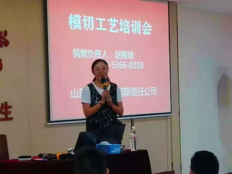 模切工藝培訓(xùn)會(huì)（山東區(qū)）圓滿舉行！